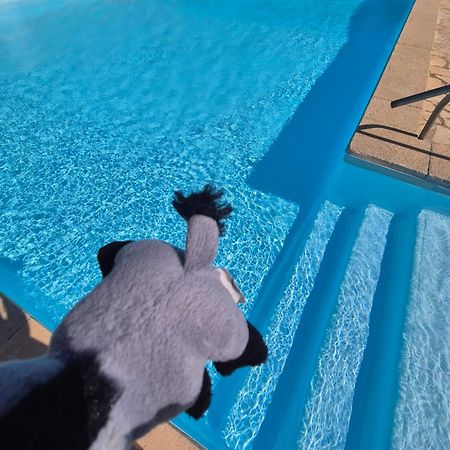 Havre De Paix Appart Climatise,Piscine,Wifi Le Barcarès Exteriör bild