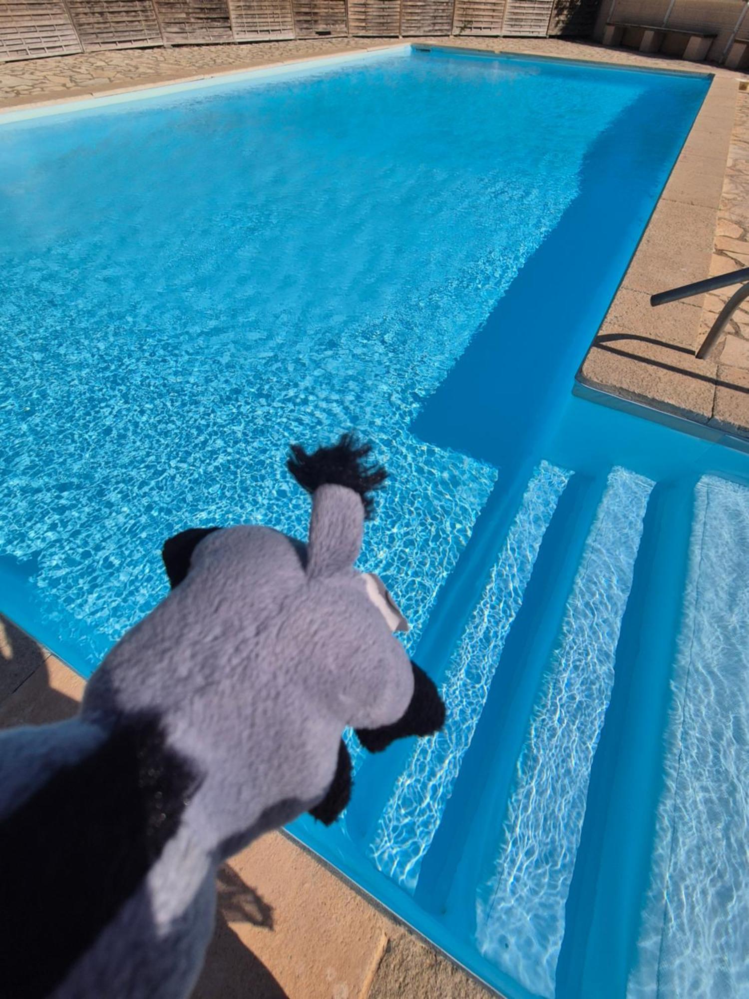 Havre De Paix Appart Climatise,Piscine,Wifi Le Barcarès Exteriör bild